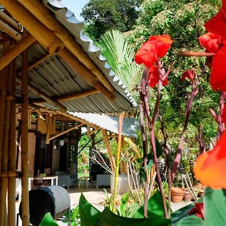 Bamboo Cottage Langkawi Pantai Cenang  Kültér fotó